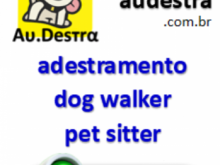 Adestramento | dog walker | pet sitter